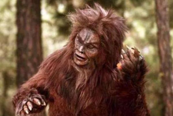 野人图片大全_野人真实存在吗