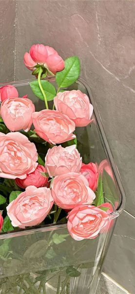 图片大全好看_如何挑选高质量壁纸