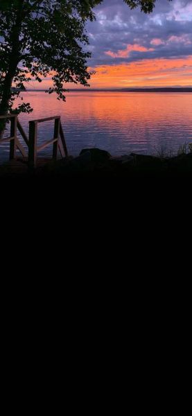 图片大全好看_如何挑选高质量壁纸