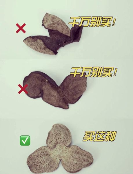 陈皮图片大全_如何辨别真假陈皮