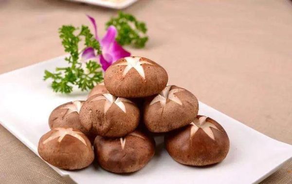 梦到香菇是什么意思_梦见香菇预示什么