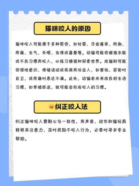 梦到黑猫咬我_梦见黑猫咬手是什么意思