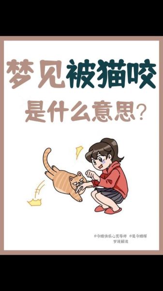 梦到黑猫咬我_梦见黑猫咬手是什么意思