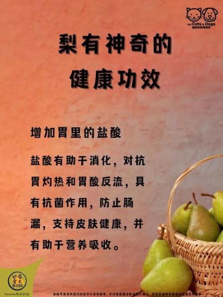 梦到摘梨吃是什么意思_孕妇梦见摘梨吃好吗