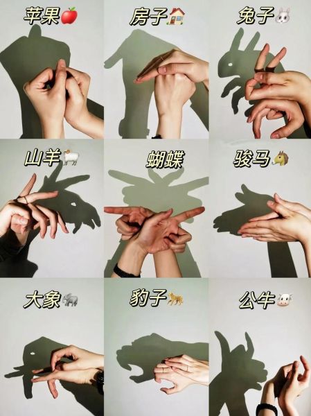 手势影子图片大全_如何拍出创意手势影子