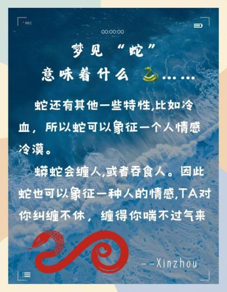 梦到好多小蛇是什么意思_周公解梦与心理学解读