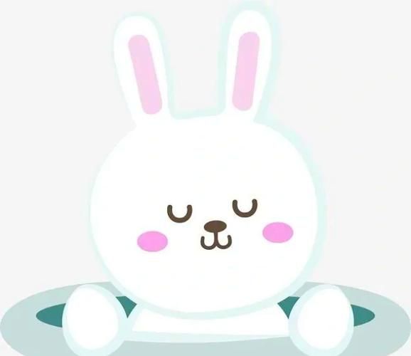 孕妇梦到小白兔是什么意思_胎梦预示男女准吗