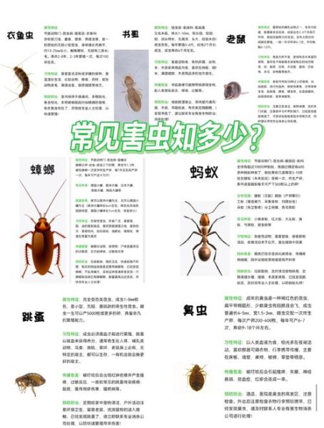 家里常见虫子种类_如何彻底消灭