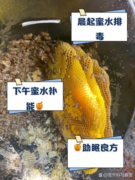 梦到吃蜂蜜是什么意思_蜂蜜梦境解析