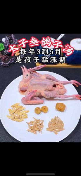 宝宝鸽子汤的做法_宝宝多大可以喝鸽子汤