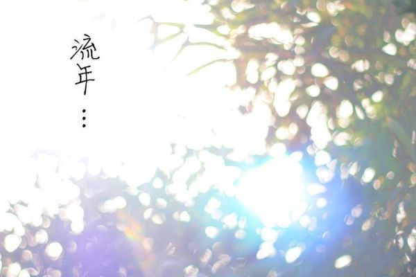 流年图片大全哪里找_流年图片大全怎么选