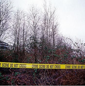 犯罪现场照片真实吗_如何辨别伪造痕迹