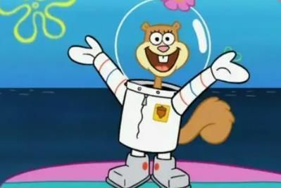 海绵宝宝是什么动物_海绵宝宝原型是海绵吗