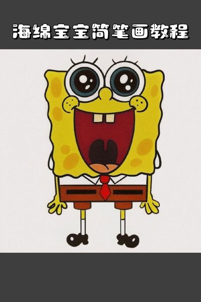 海绵宝宝是什么动物_海绵宝宝原型是海绵吗