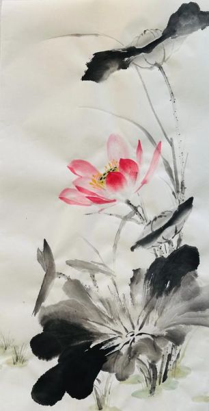 国画荷花图片大全_如何临摹高清荷花图