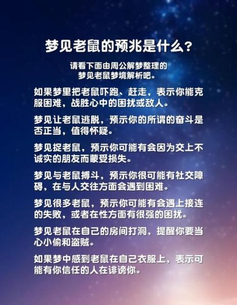梦到死老鼠是什么意思_梦见死老鼠预示什么