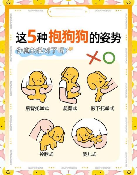 梦到抱着狗是什么意思_梦见抱狗好不好