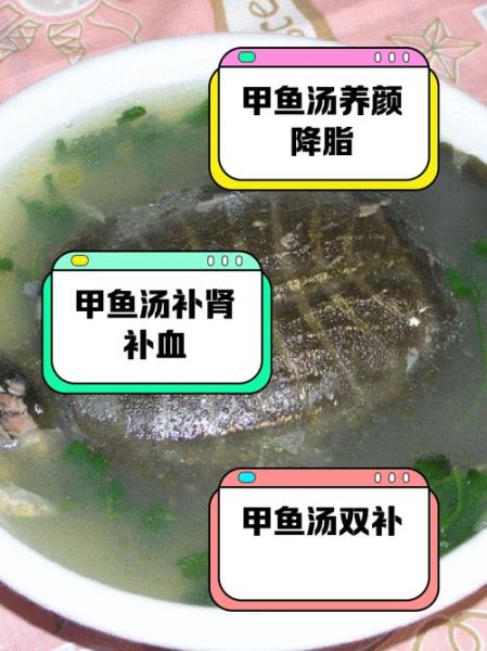 宝宝能喝甲鱼汤吗_甲鱼汤适合多大婴儿
