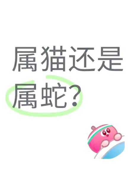 梦到蛇和猫是什么意思_周公解梦蛇猫同现预示什么