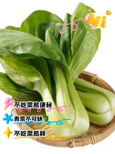 梦到吃菜是什么意思_梦见吃青菜好不好