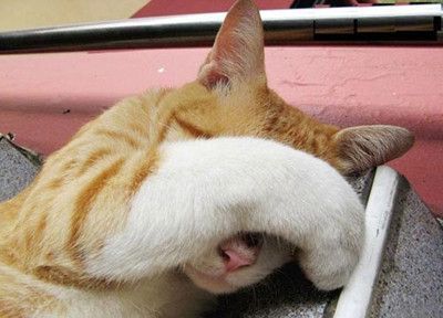 梦到当众拉屎是什么意思_如何化解尴尬梦境