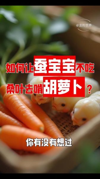 蚕宝宝不吃桑叶到处爬怎么办_蚕宝宝拒食桑叶原因