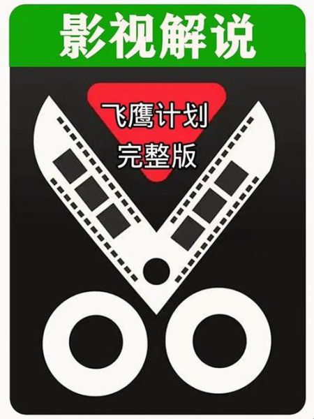 飞鹰计划迅雷下载_飞鹰计划迅雷下载安全吗