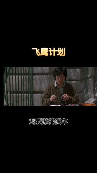 飞鹰计划迅雷下载_飞鹰计划迅雷下载安全吗