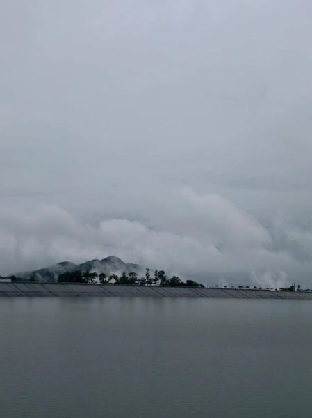 梦到玩手机是什么意思_梦见玩手机预示什么