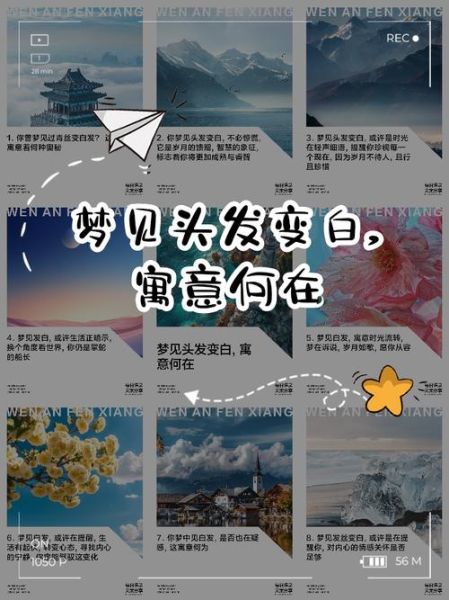 梦到白发是什么意思_梦见自己头发变白预示什么