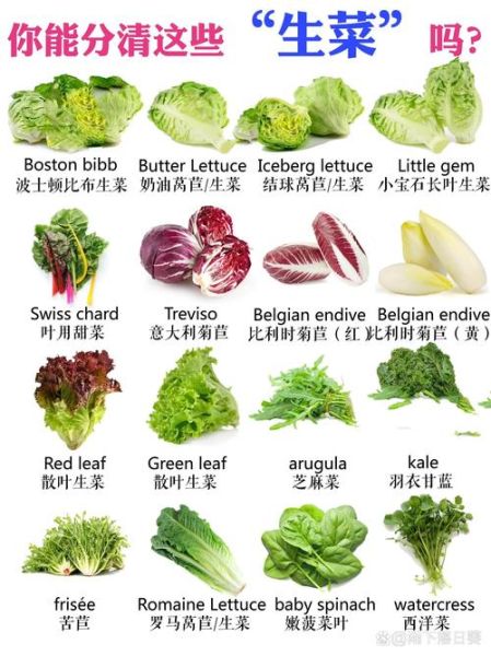 蔬菜大全图片和名字_蔬菜种类有哪些