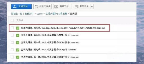 种子怎么用迅雷下载_迅雷种子下载步骤