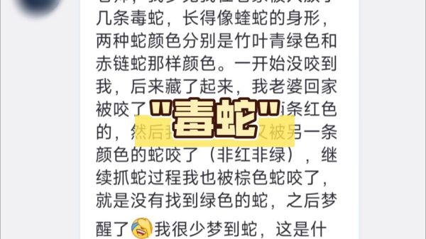 梦到被蛇咬肚子_梦见蛇咬肚子是什么意思