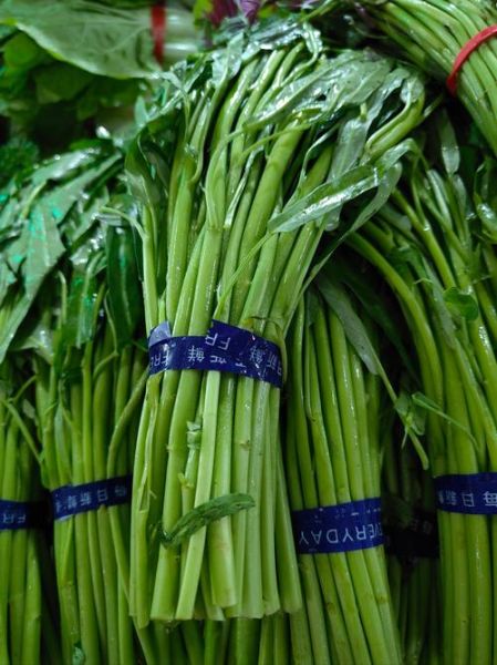 蔬菜图片大全大图_高清蔬菜图片怎么找