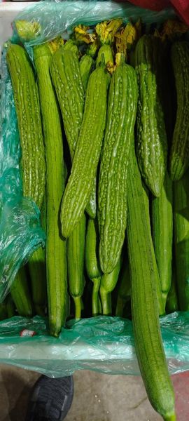 蔬菜图片大全大图_高清蔬菜图片怎么找