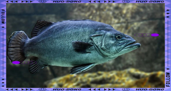 梦到别人给鱼是什么意思_梦见别人送活鱼预示什么