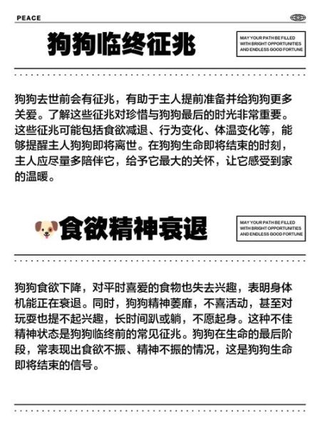 梦到狗死了是什么意思_梦到狗死了预示着什么