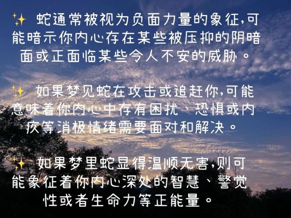 晚上梦到蛇是什么征兆_梦见蛇预示着什么