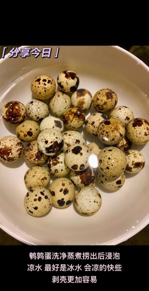 七个月宝宝鹌鹑蛋怎么吃_鹌鹑蛋辅食做法