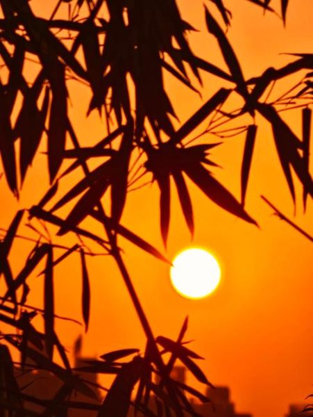 朝阳图片大全哪里找_如何挑选高清朝阳壁纸