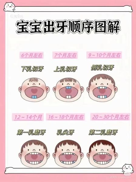 宝宝长牙了怎么办_宝宝长牙顺序
