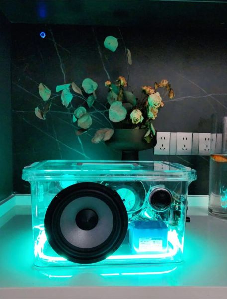 音箱制作图片大全_如何DIY音箱