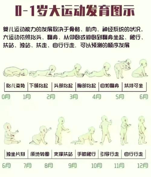 宝宝几个月会爬行_爬行晚正常吗