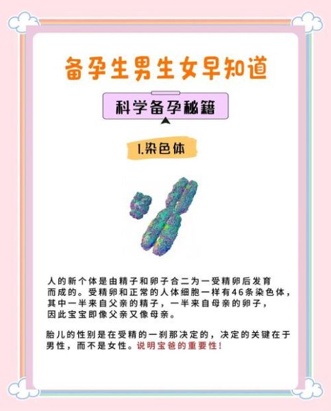 生男宝宝的科学方法_备孕男孩有哪些技巧