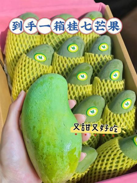 梦到摘芒果吃是什么意思_梦见芒果熟了摘来吃好吗