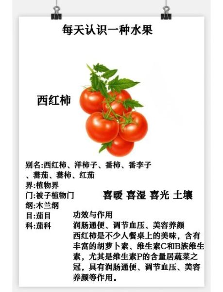 梦到摘西红柿是什么意思_梦见摘西红柿预示什么