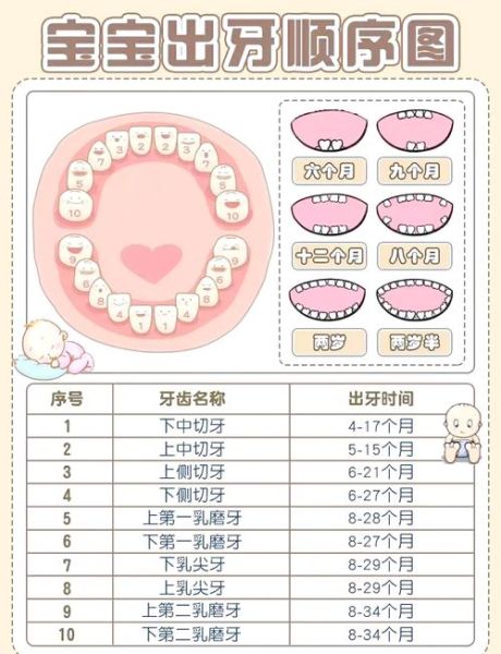 宝宝牙齿多久长齐_乳牙全部萌出时间表