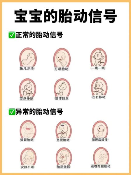 梦见胎动还能摸到宝宝_意味着什么