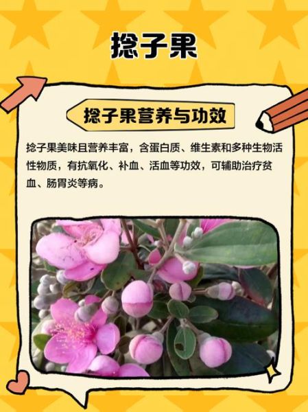 女人梦到摘成熟的果子_有什么寓意