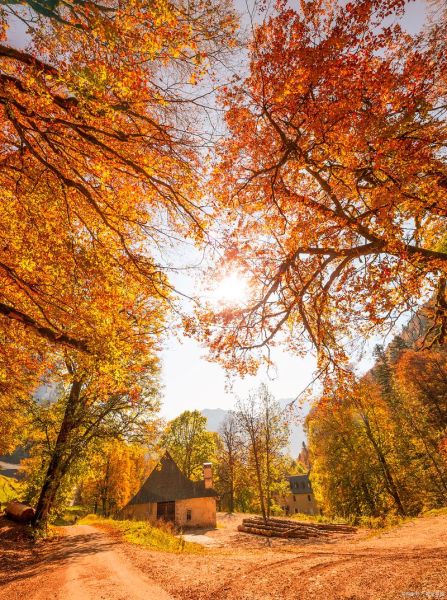 秋天图片大全大图_秋天风景图片哪里找